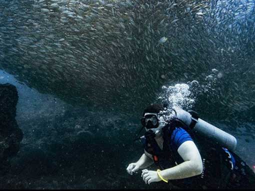 PADI Scuba Diver with big school of fish