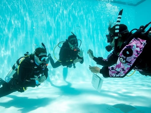 Divers completing their pool training